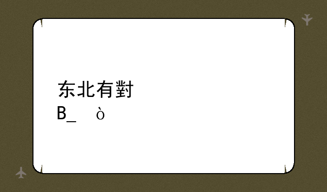 东北有小自考吗？