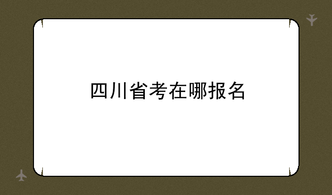 四川省考在哪报名