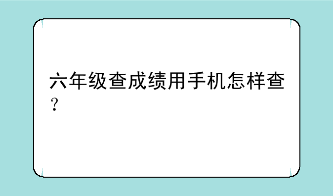 六年级查成绩用手机怎样查？
