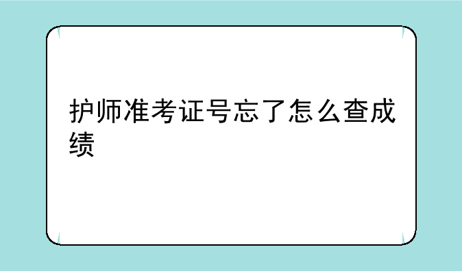 护师准考证号忘了怎么查成绩
