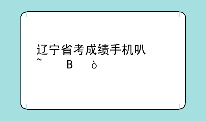 辽宁省考成绩手机可以查吗？