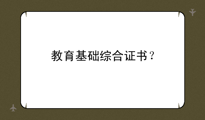 教育基础综合证书？