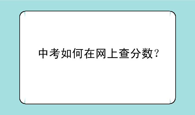 中考如何在网上查分数？