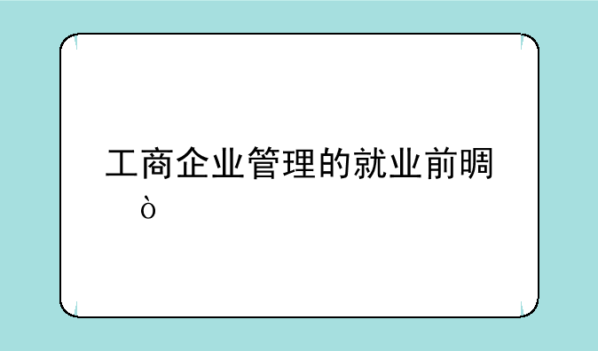 工商企业管理的就业前景？
