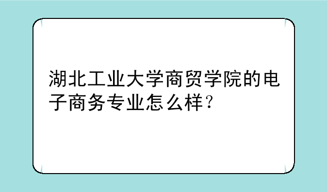 湖北工业大学商贸学院的电子商务专业怎么样？
